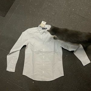 Everlane slim fit Japanese Oxford gray